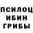 Галлюциногенные грибы Psilocybe BashCrawler