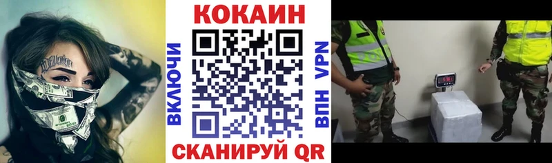площадка наркотические препараты  Гатчина  COCAIN Fish Scale 