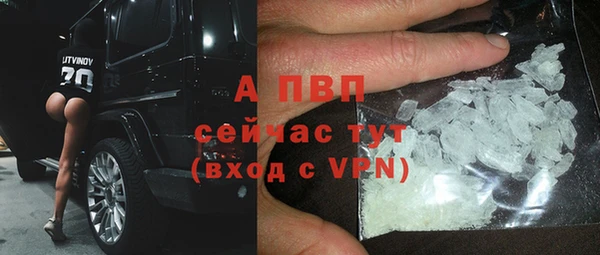 apvp Арсеньев