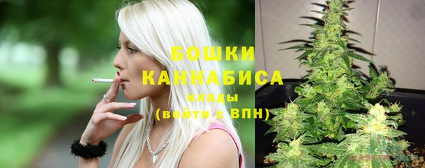 apvp Арсеньев