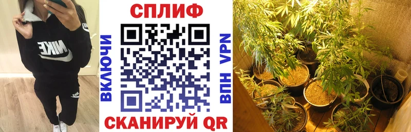 МАРИХУАНА White Widow  Гатчина 